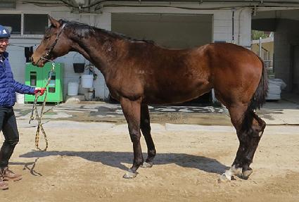 �������Դ� ����