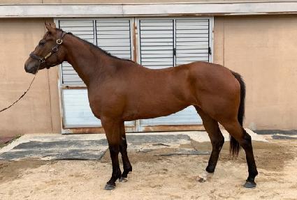 ��ũ���� ����