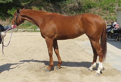 ����Ʈ���� ����