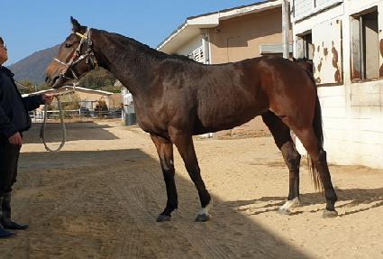 �ٺ����϶� ����