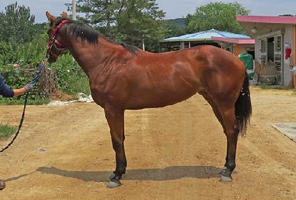 ������������ ����