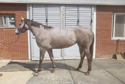 �׷��̿��� ����