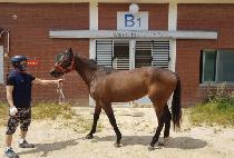 �������� (LEGENDARY) ����