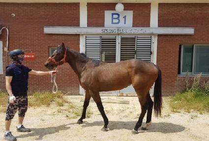 �������� ����