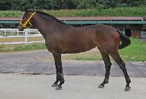 ��û���� (EOMCHEONGNAN GIRL) ����