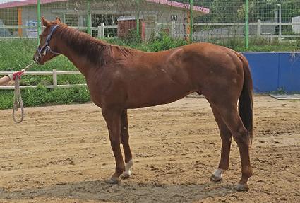 �����ظ� ����