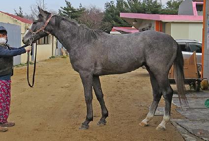 ��ȭ�� ����