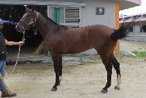 ���帶��ƾ (RED MOUNTAIN) ����