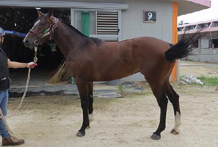 ���帶��ƾ ����