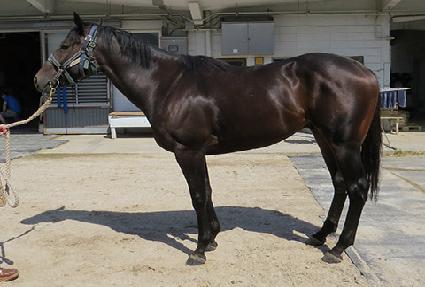 ŷ��Ʈ ����