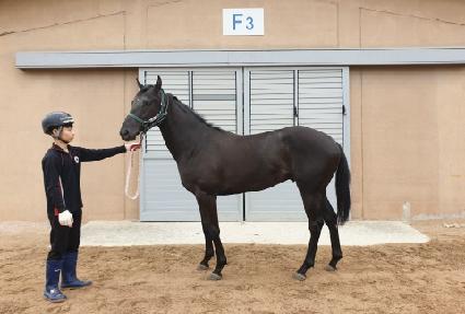 ŷ��� ����