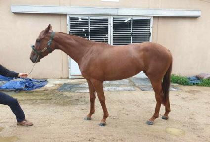 ������ ����