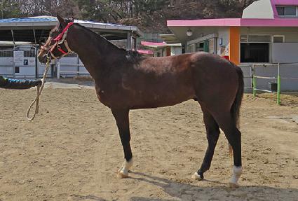 �����۵�ŷ ����