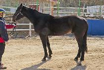 ť�ǵ��� (CUPID DICTION) ����