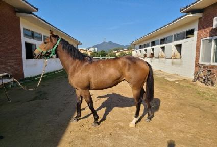 ��Ʈ��� ����