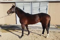 û������ (CHEONGMA YEONGUNG) ����