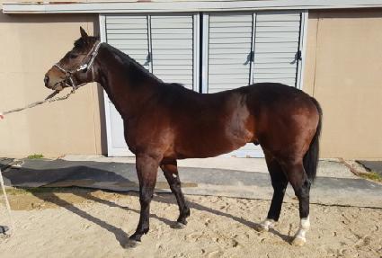 û������ ����