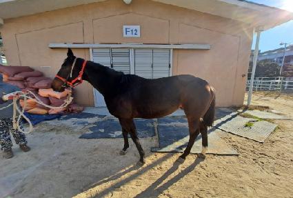 ĳġ����� ����