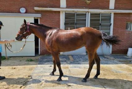 ȭ��Ʈ�� ����