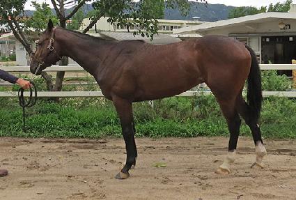 ������� ����