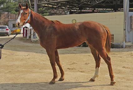 �����꺣��Ʈ ����