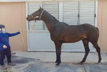 ŷ��������� ����