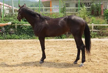 �̽��ӽ� ����