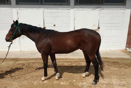 ����Ʈ������ ����