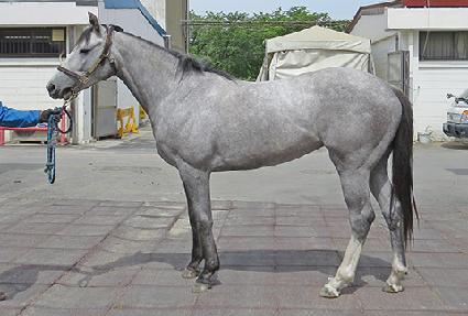 �����ġ ����