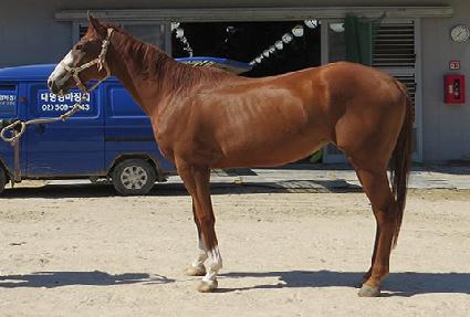 û�������̵� ����