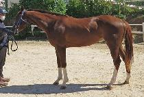 ������� (MUJEOK JANGSAN) ����