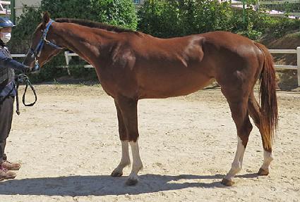 ������� ����