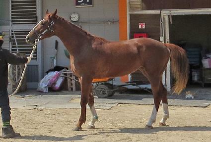 ���׺����̵� ����