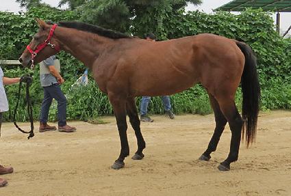 ���̺����̵� ����