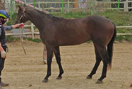 �ö��׺��� ����