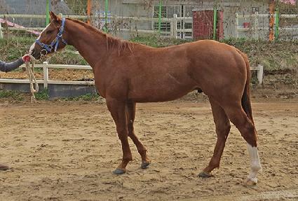 ��갡�� ����