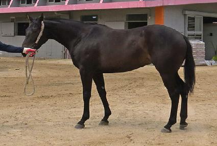 �����ġ ����