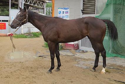 �帲��� ����