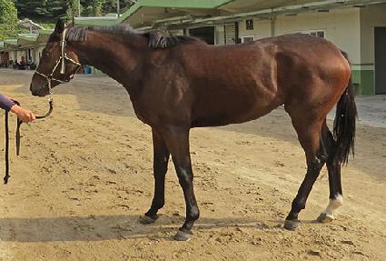 �¾�Ÿ�� ����