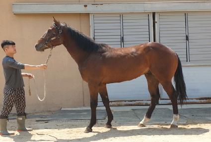 ��ö��� ����