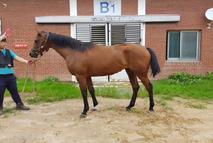 �������� ����