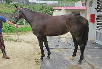 MORNING NEWS picture