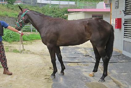 ��״��� ����