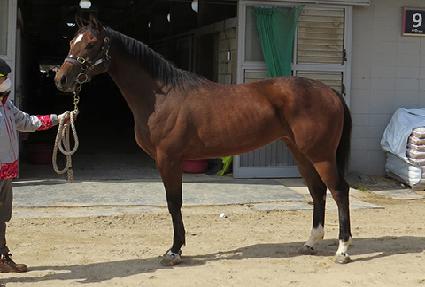 ��Ż���� ����