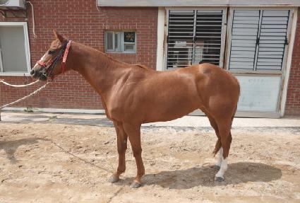 ���帮��� ����