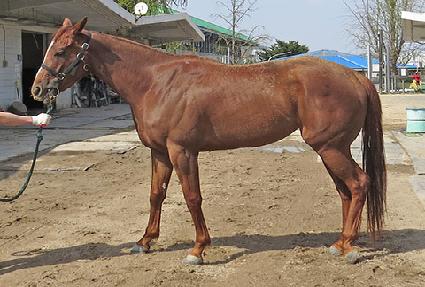 �Ѷ��ǿ��� ����