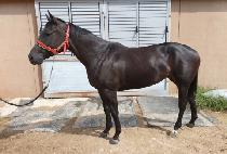 ���ּ��� (UNJU SESANG) ����