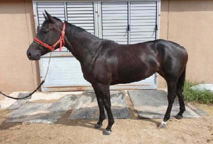 ���ּ��� ����