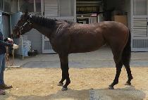 õ�����丮 (CHEONMA STORY) ����