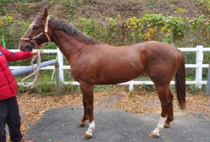 �ε���� ����